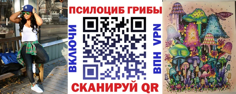 Галлюциногенные грибы Cubensis  Хабаровск 