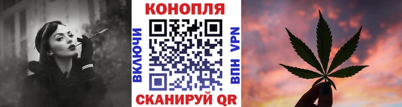 Каннабис OG Kush Хабаровск
